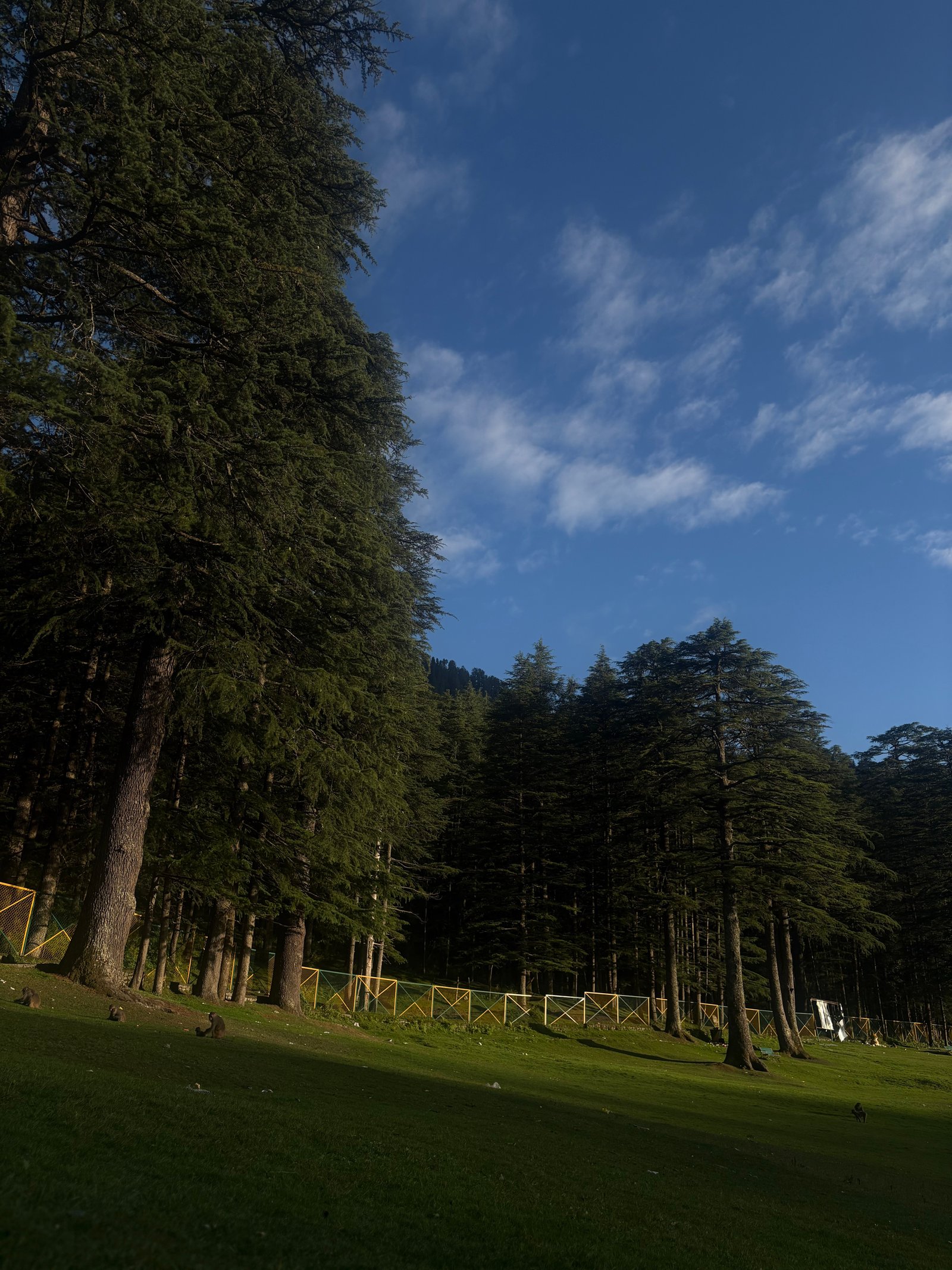 Scenic Himalayan Highway Drive